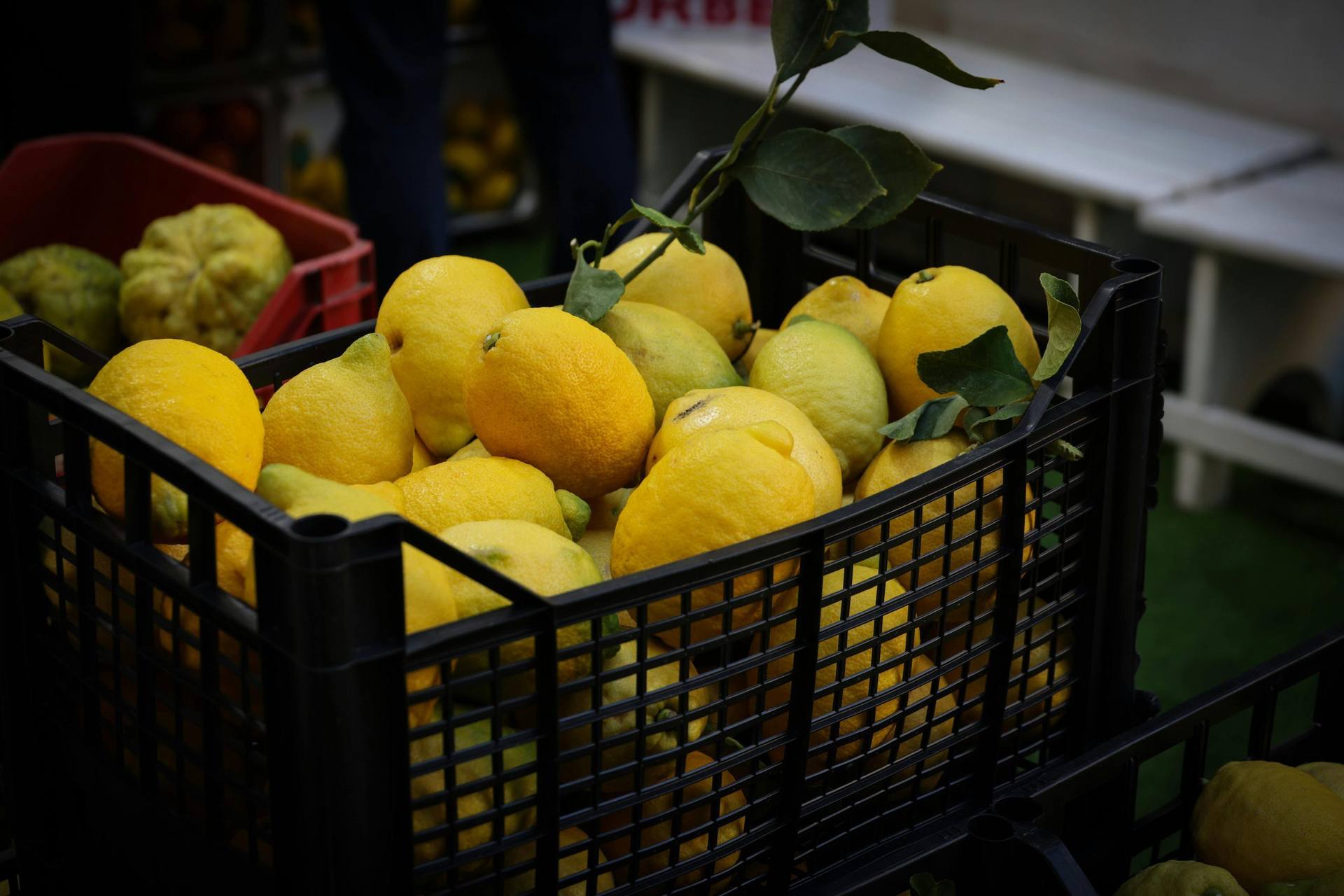 Limoncello Tour