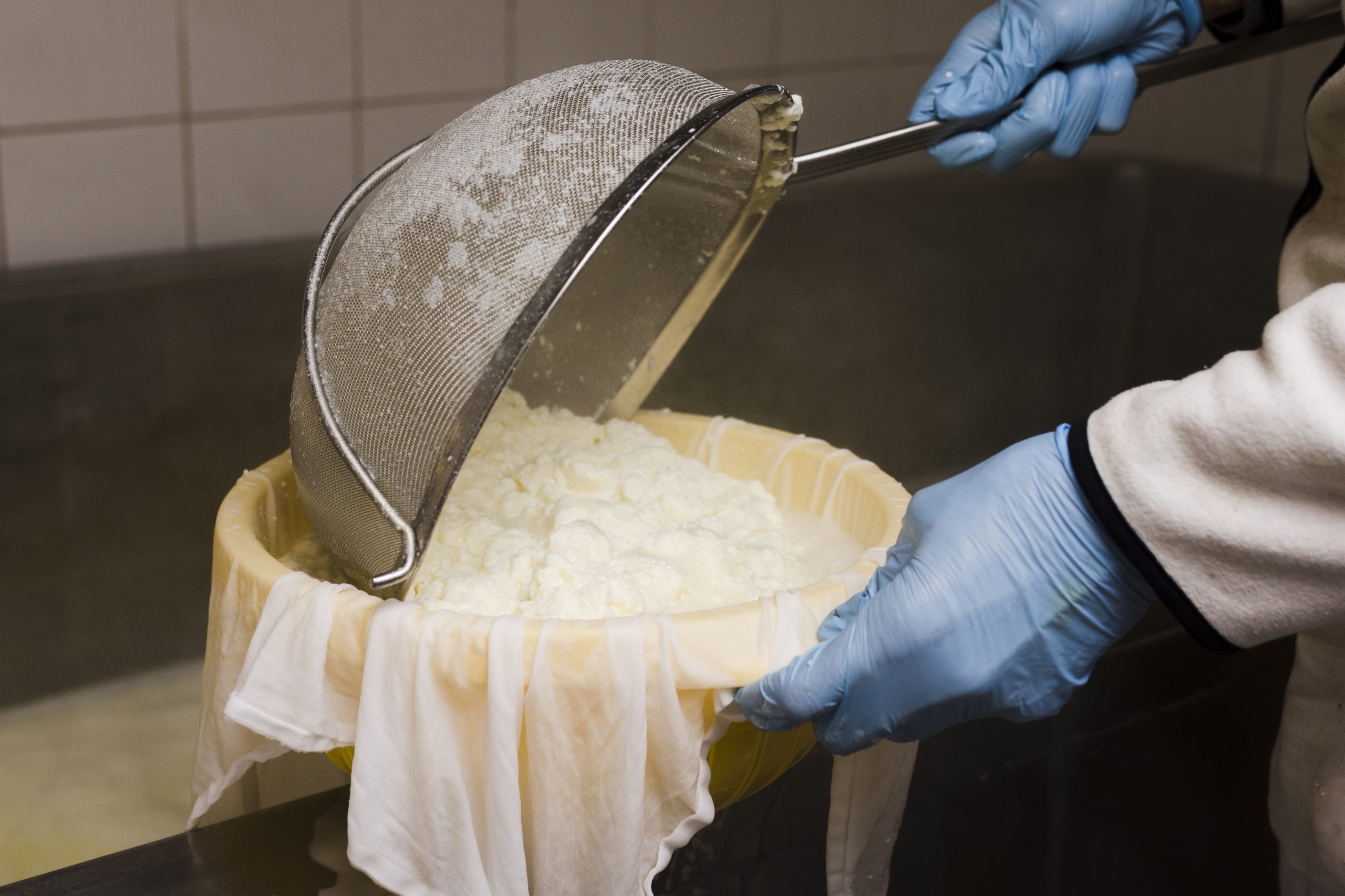 La cagliata fresca lavorata dal mastro casaro