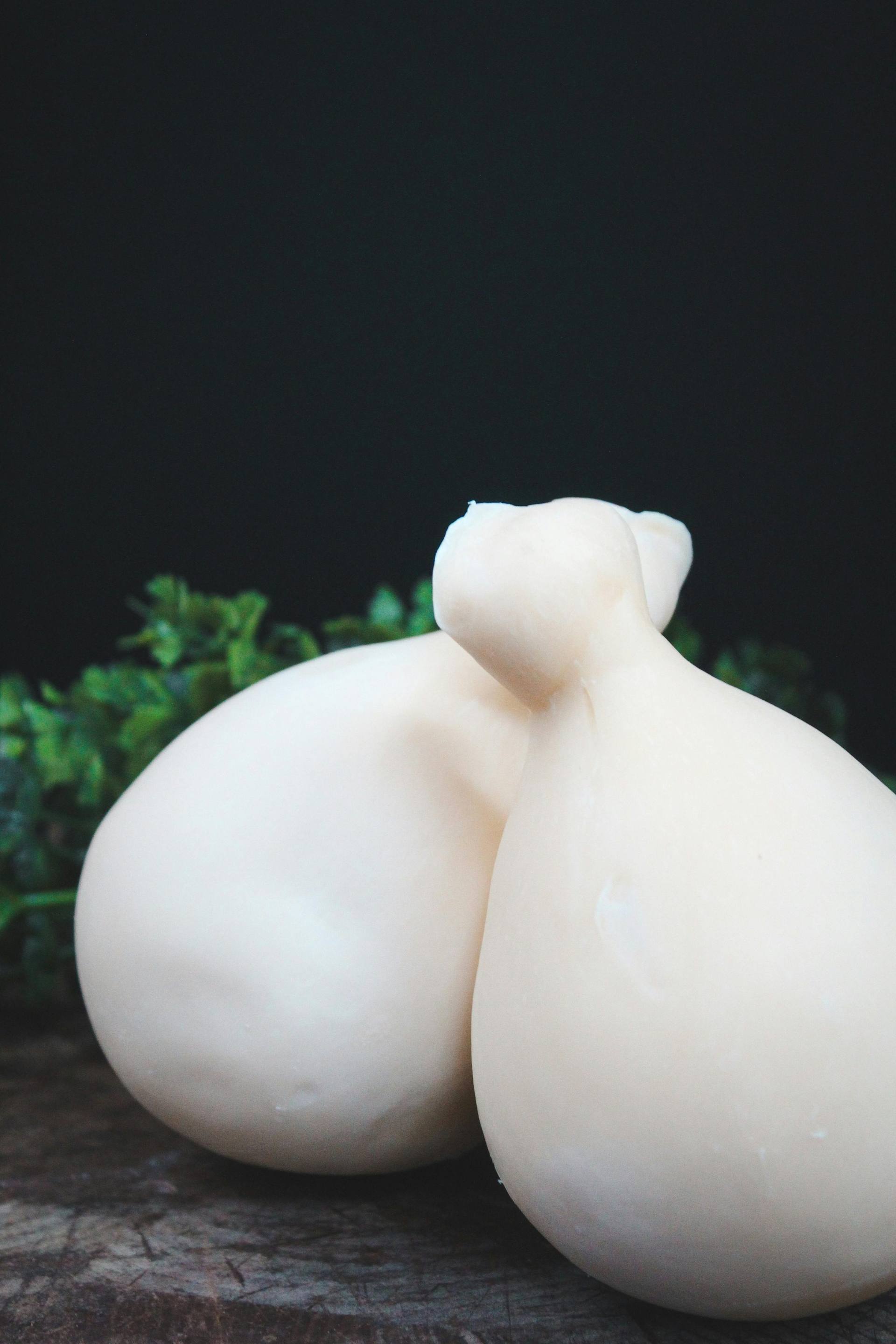 Mozzarella Experience