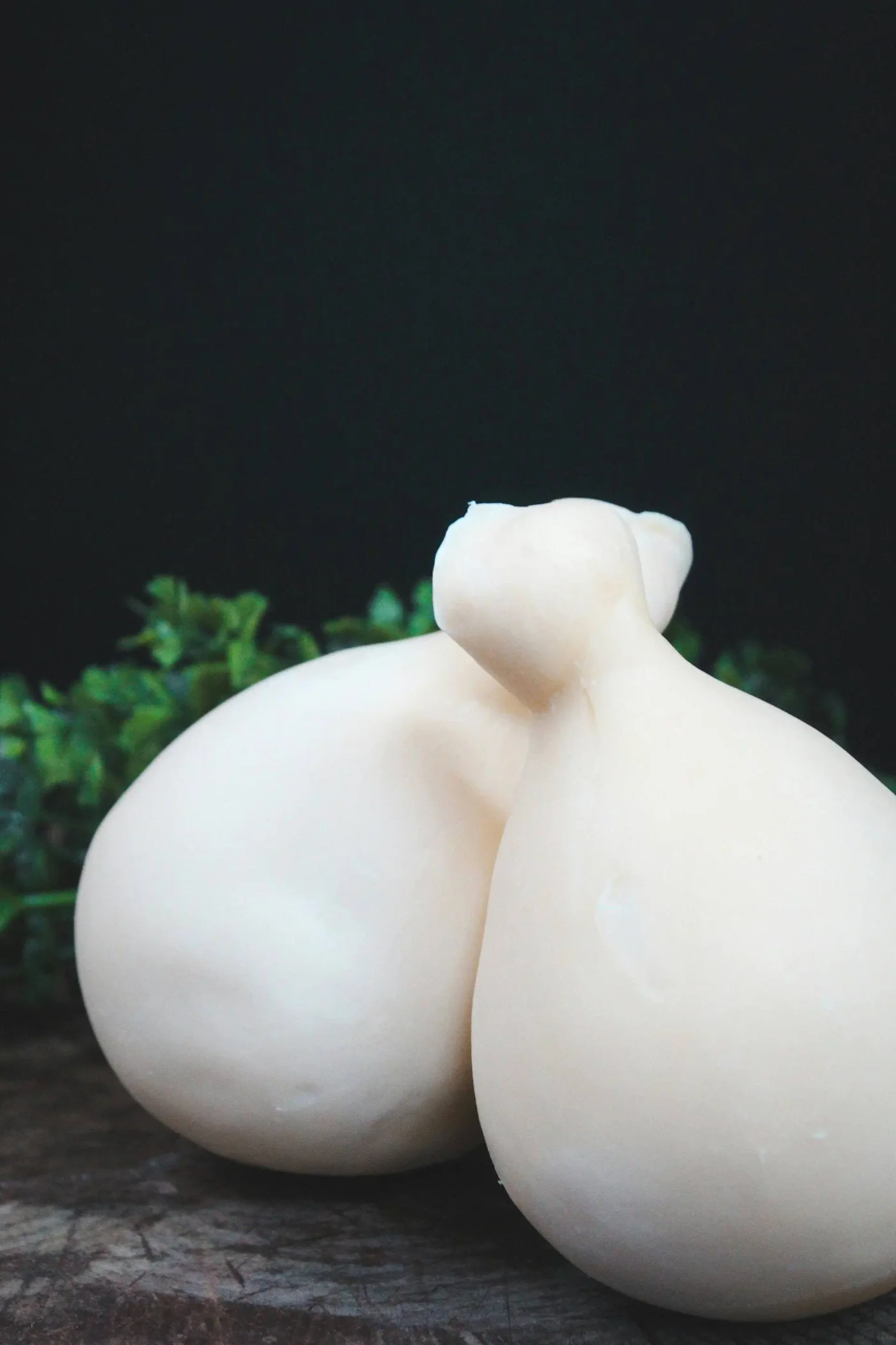 Experiencia Mozzarella